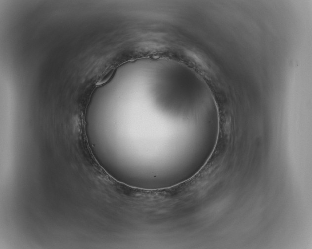 X0000111501397200907211021
