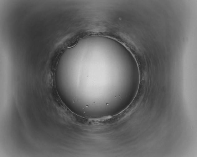 X0000111501398200907211021