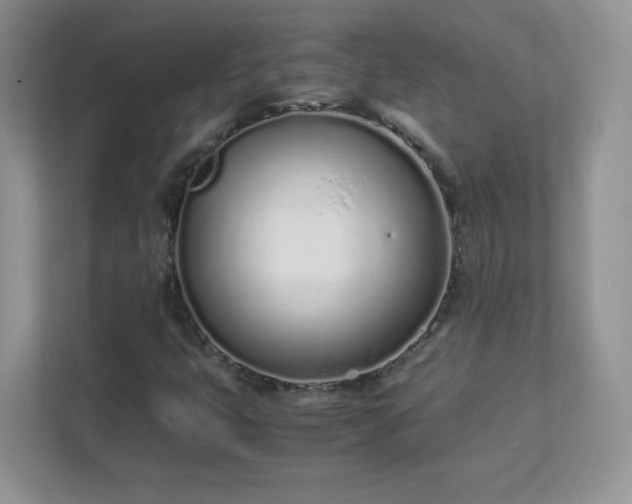 X0000111501399200907211021