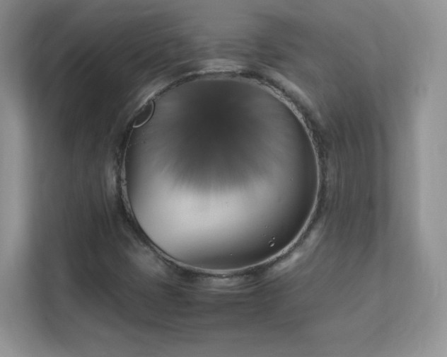 X0000111501401200907211021