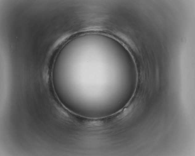 X0000111501406200907211021