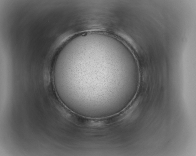 X0000111501407200907211021