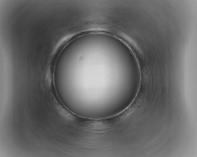 X0000111501408200907211021