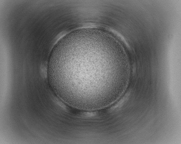 X0000111501409200907211021