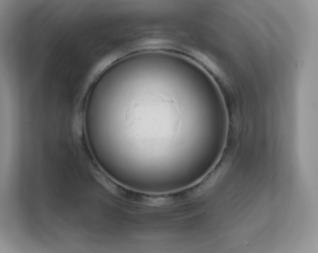 X0000111501413200907211021