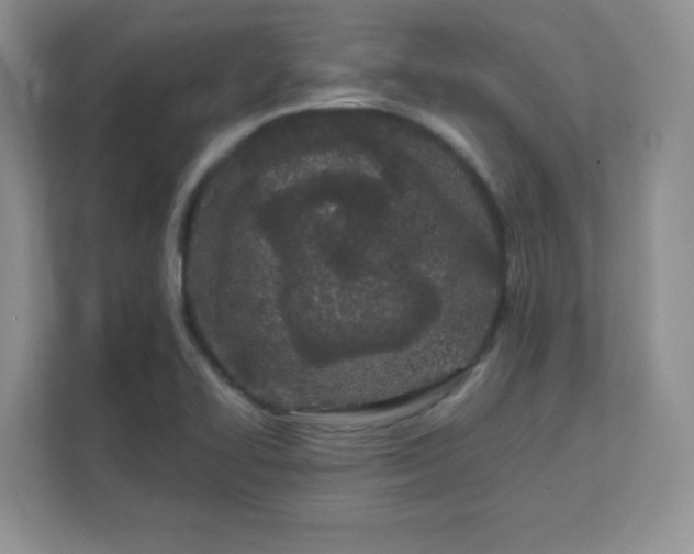 X0000111501414200907211021