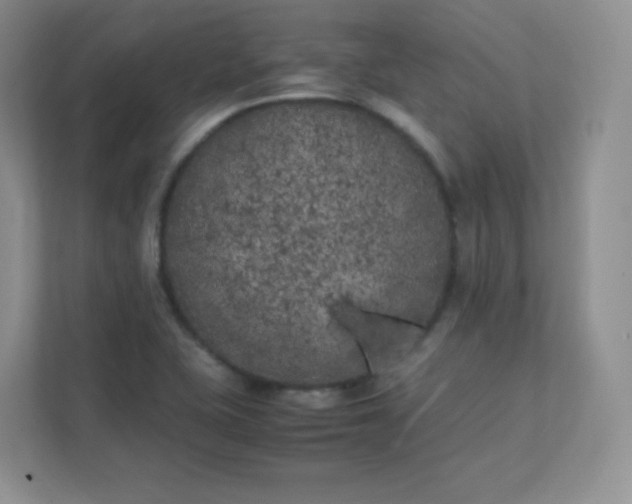 X0000111501415200907211021