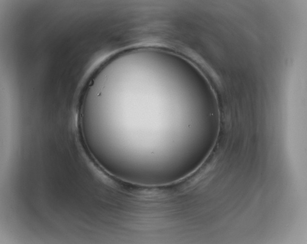X0000111501416200907211021