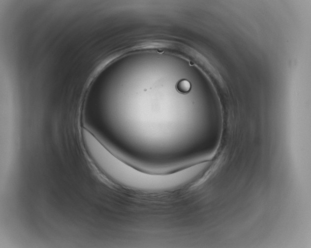 X0000111501417200907211021