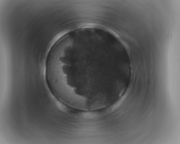 X0000111501418200907211021