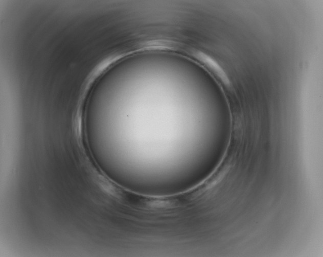 X0000111501419200907211021