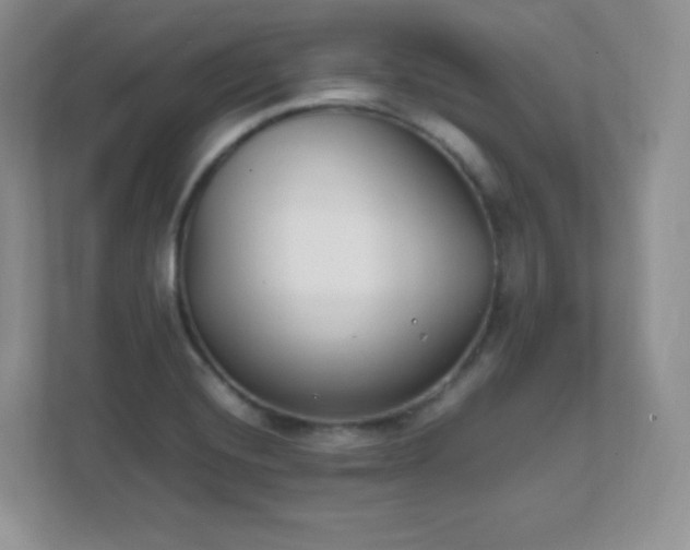 X0000111501420200907211021