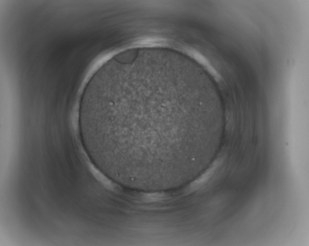 X0000111501421200907211021