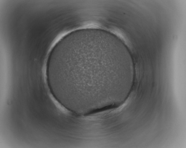 X0000111501422200907211021