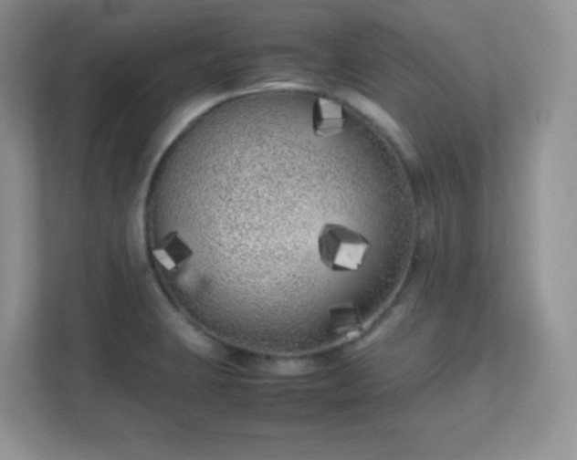 X0000111501423200907211021