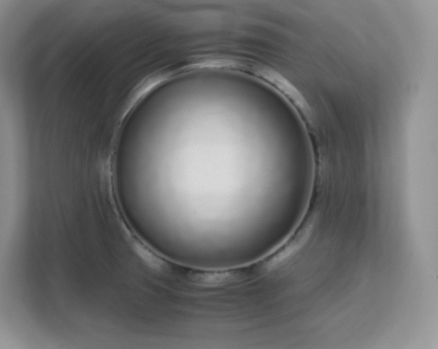 X0000111501425200907211021