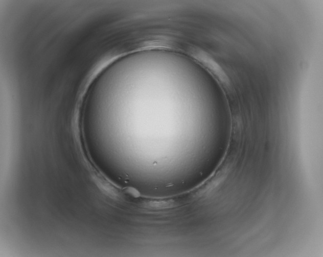 X0000111501427200907211021