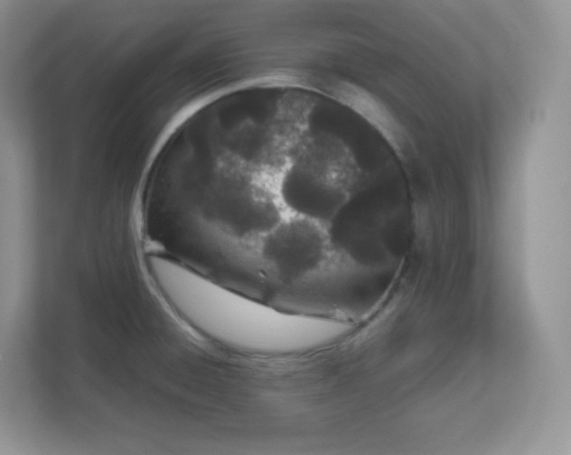 X0000111501428200907211021