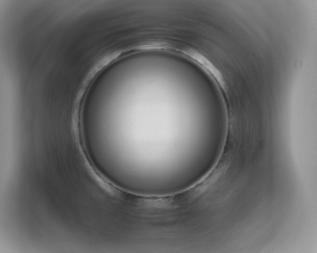 X0000111501429200907211021