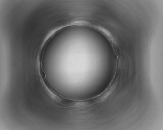 X0000111501430200907211021