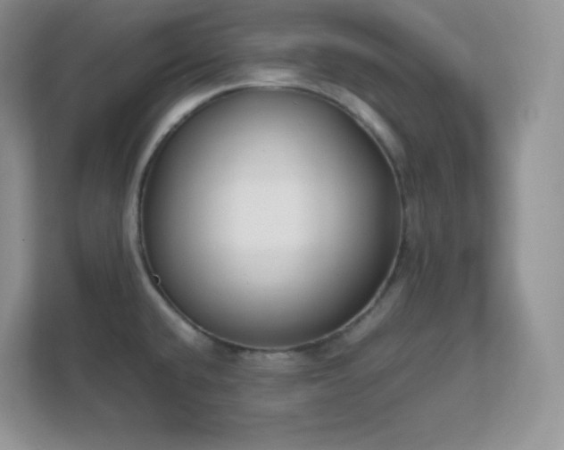X0000111501432200907211021