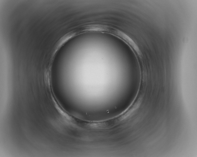 X0000111501433200907211021