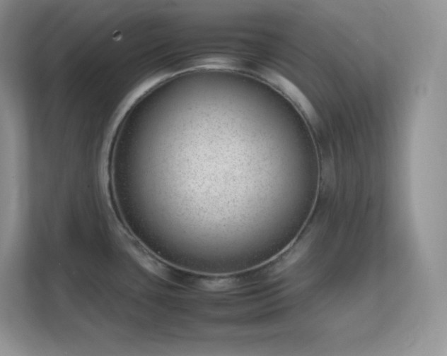 X0000111501435200907211021