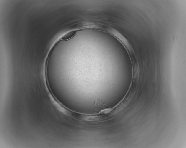 X0000111501439200907211021