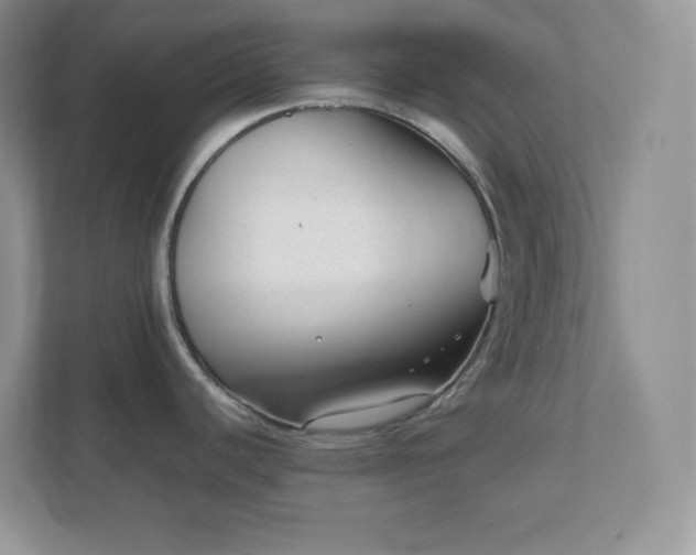 X0000111501440200907211021