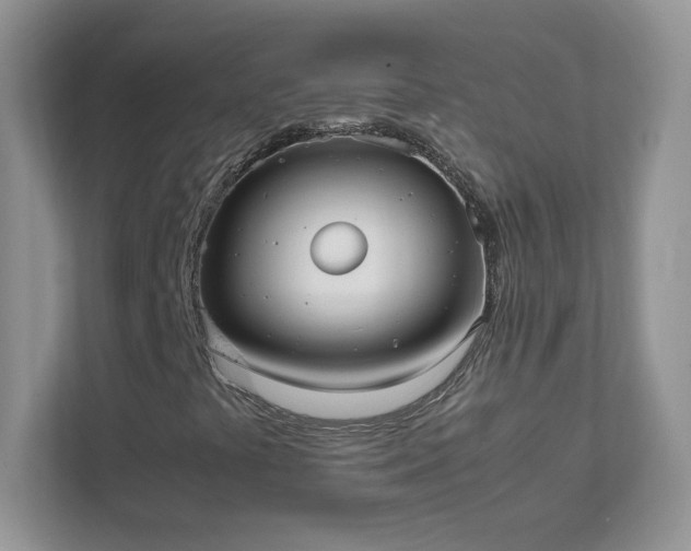 X0000111501441200907211020