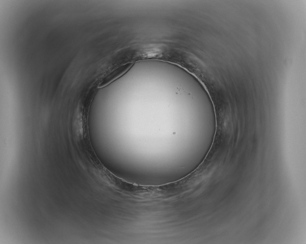 X0000111501442200907211020