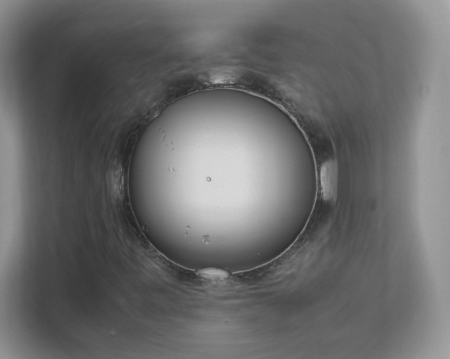X0000111501443200907211020