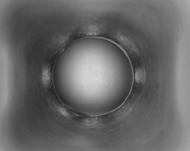 X0000111501444200907211020