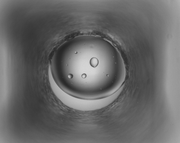 X0000111501445200907211020