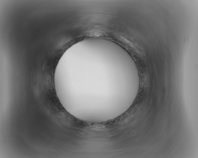 X0000111501446200907211020