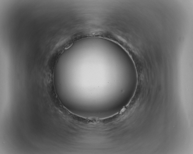 X0000111501447200907211020