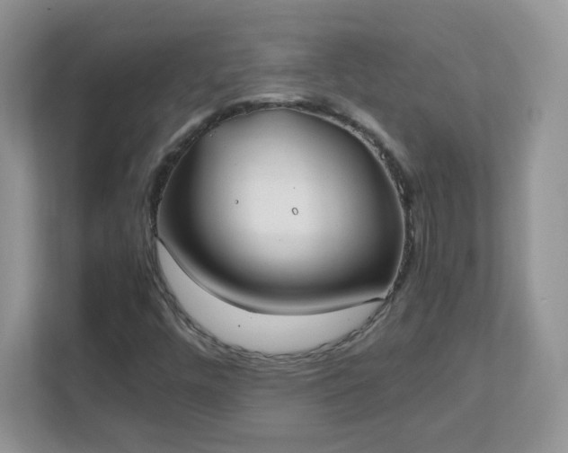 X0000111501448200907211020