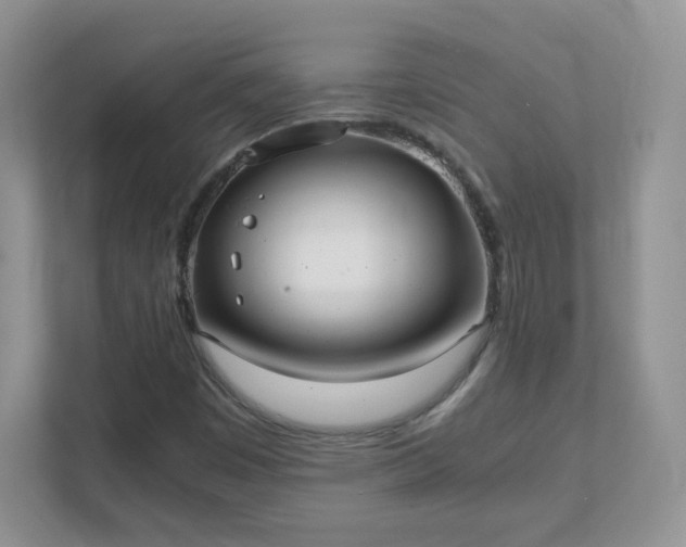 X0000111501449200907211020