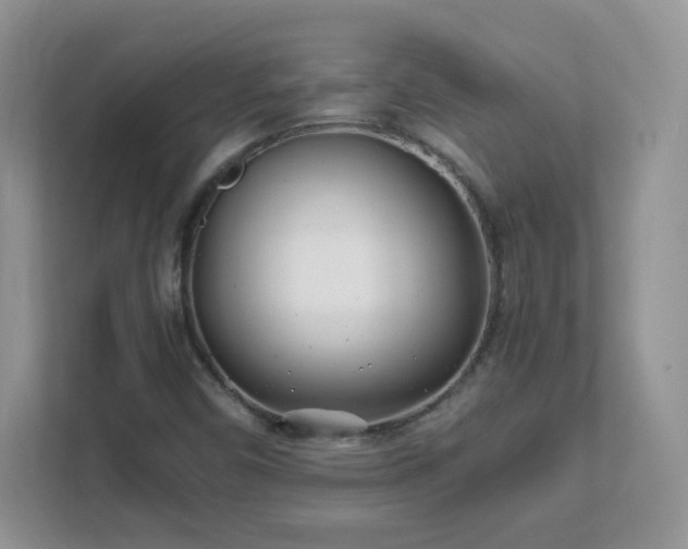 X0000111501450200907211020