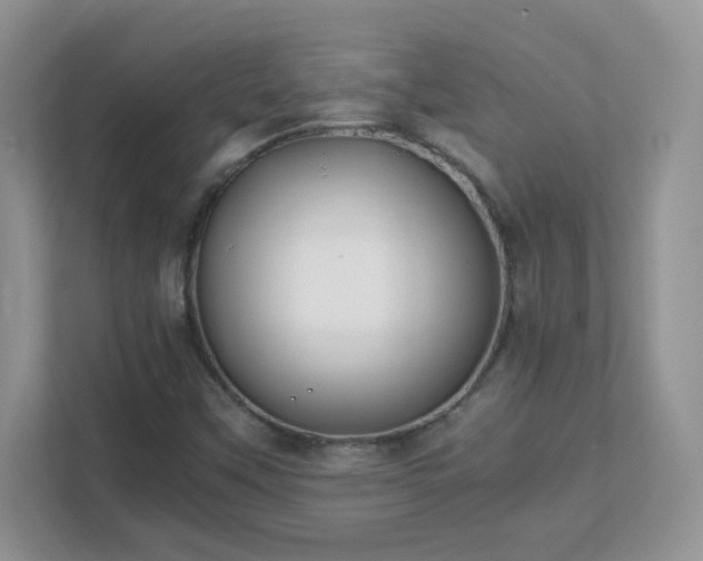 X0000111501451200907211020