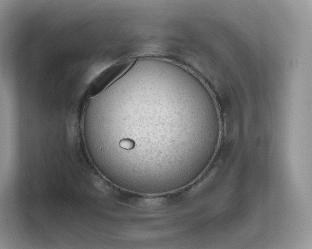 X0000111501453200907211020