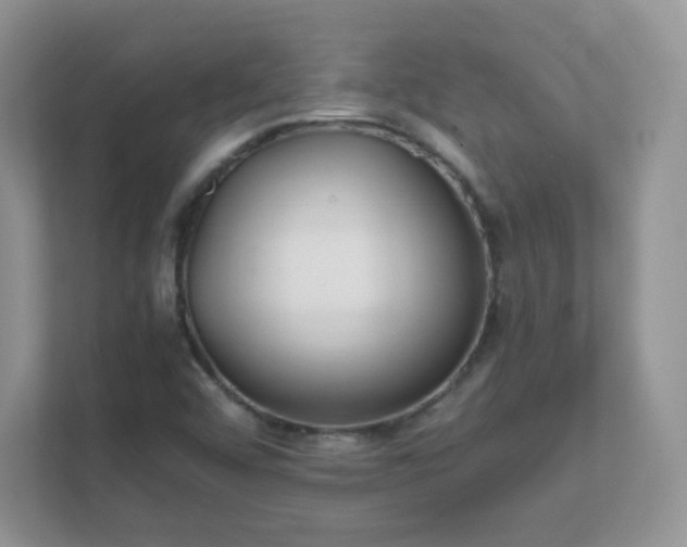 X0000111501456200907211020