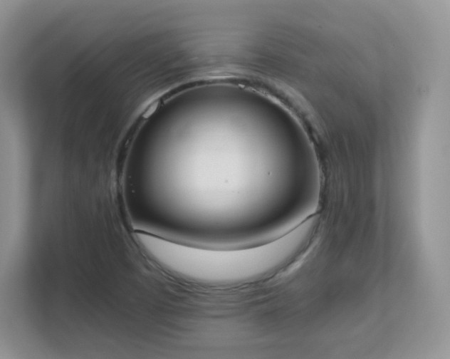 X0000111501457200907211020