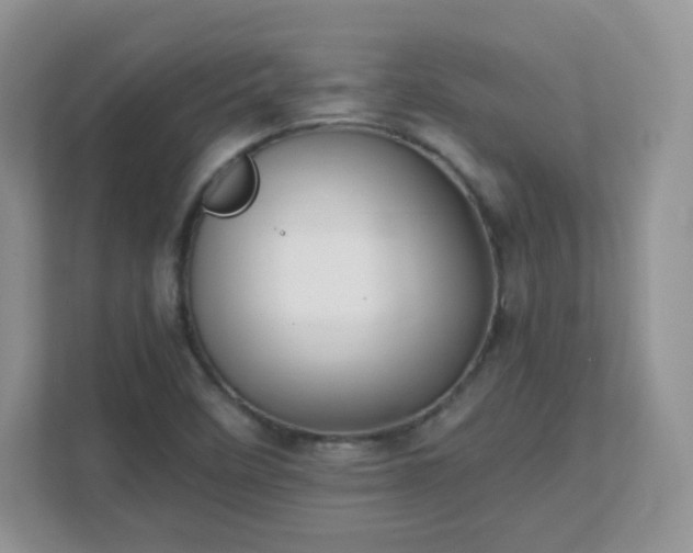 X0000111501458200907211020
