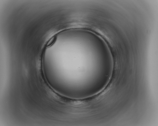 X0000111501459200907211020