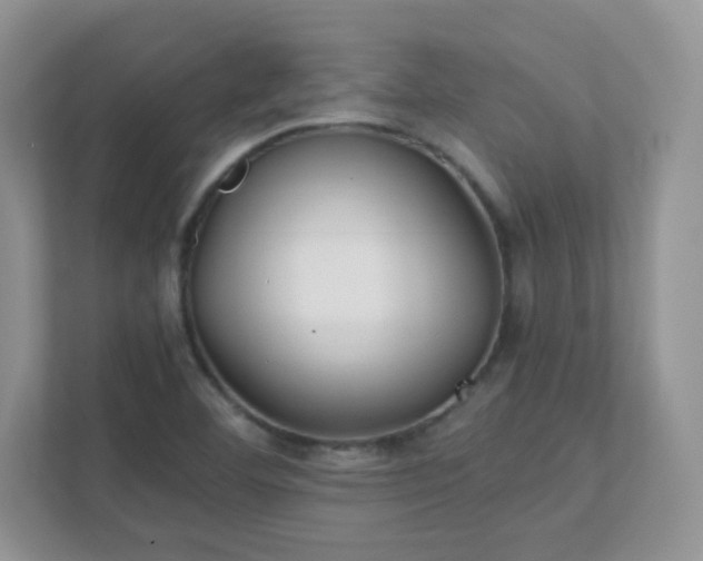 X0000111501460200907211020