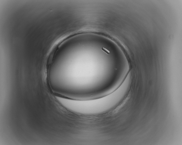 X0000111501461200907211020