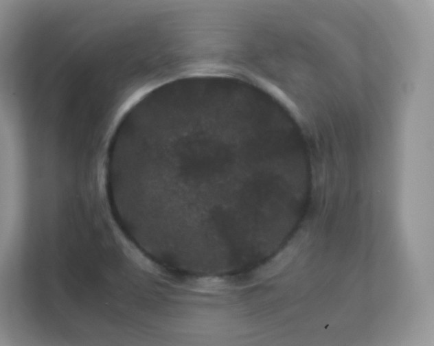 X0000111501463200907211020