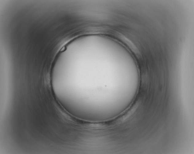 X0000111501465200907211020