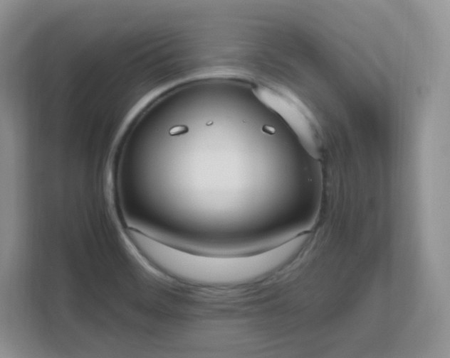 X0000111501468200907211020